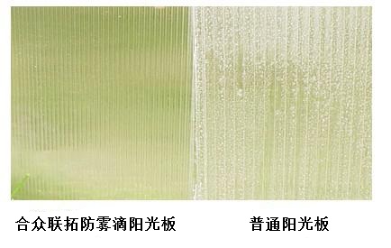 拜耳阳光板 拜耳阳光板