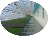 农业温室